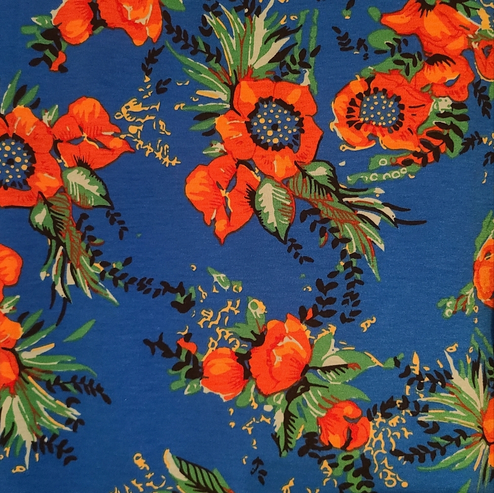 Lularoe Debbie - Picture 3 of 4